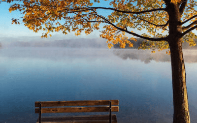 Removing an executor